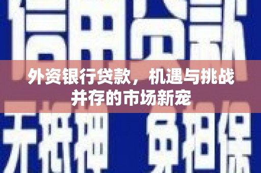 佳县外资银行贷款，机遇与挑战并存的市场新宠