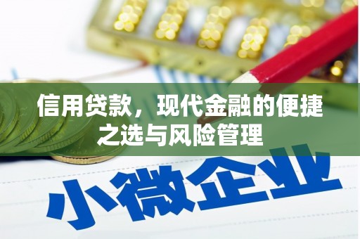 佳县信用贷款，现代金融的便捷之选与风险管理