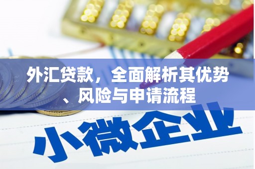 佳县外汇贷款，全面解析其优势、风险与申请流程