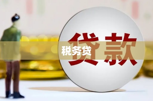 佳县税务贷