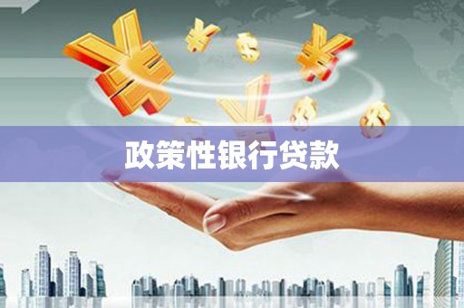 佳县政策性银行贷款