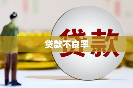 佳县贷款不良率
