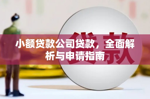 佳县小额贷款公司贷款，全面解析与申请指南