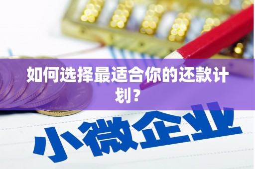 佳县如何选择最适合你的还款计划？