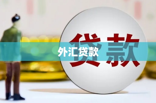 佳县外汇贷款