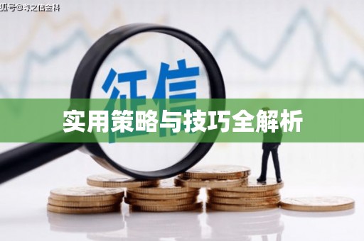 佳县实用策略与技巧全解析