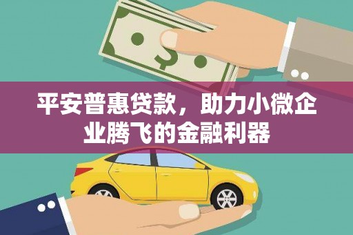 佳县平安普惠贷款，助力小微企业腾飞的金融利器
