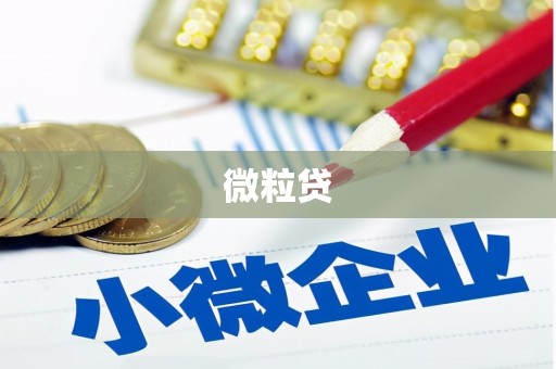 佳县微粒贷