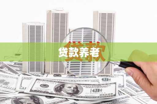 佳县贷款养老