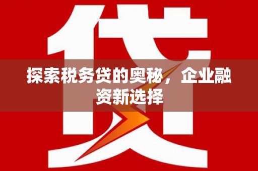 佳县探索税务贷的奥秘，企业融资新选择