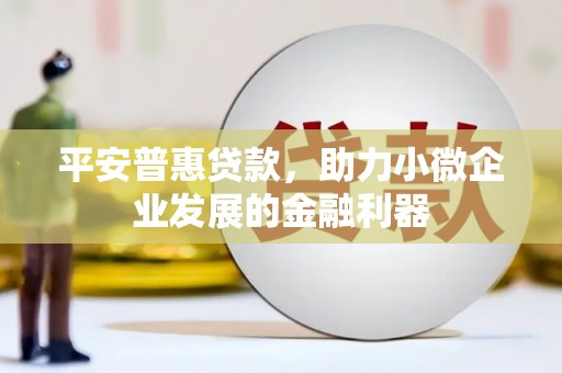 佳县平安普惠贷款，助力小微企业发展的金融利器