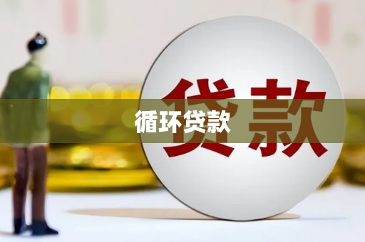 佳县循环贷款