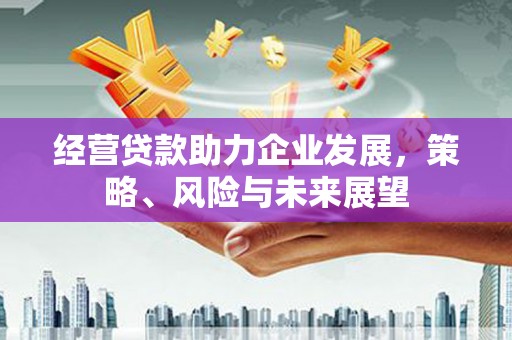 佳县经营贷款助力企业发展，策略、风险与未来展望