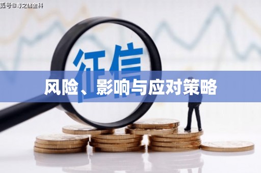 佳县风险、影响与应对策略
