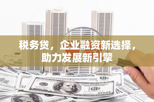 佳县税务贷，企业融资新选择，助力发展新引擎