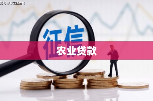 佳县农业贷款