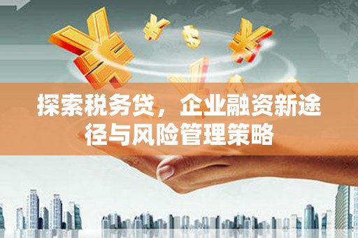 佳县探索税务贷，企业融资新途径与风险管理策略