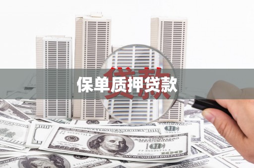 佳县保单质押贷款