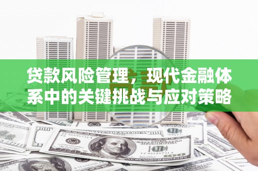 佳县贷款风险管理，现代金融体系中的关键挑战与应对策略