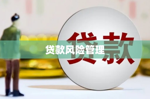 佳县贷款风险管理