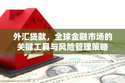 佳县外汇贷款，全球金融市场的关键工具与风险管理策略