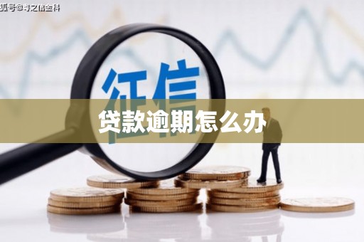 佳县贷款逾期怎么办