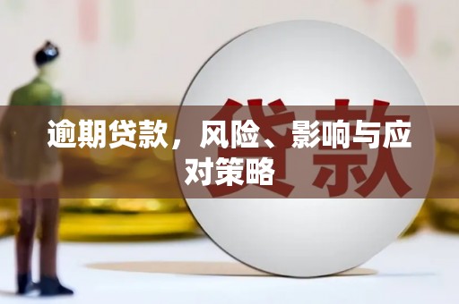 佳县逾期贷款，风险、影响与应对策略