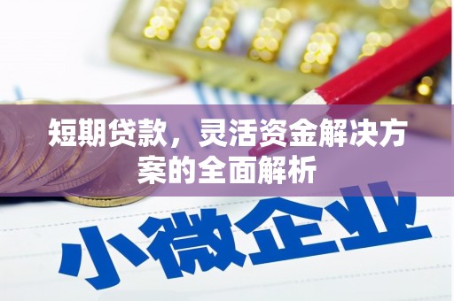 佳县短期贷款，灵活资金解决方案的全面解析
