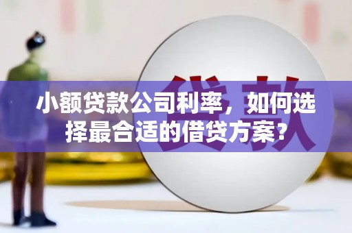 佳县小额贷款公司利率，如何选择最合适的借贷方案？