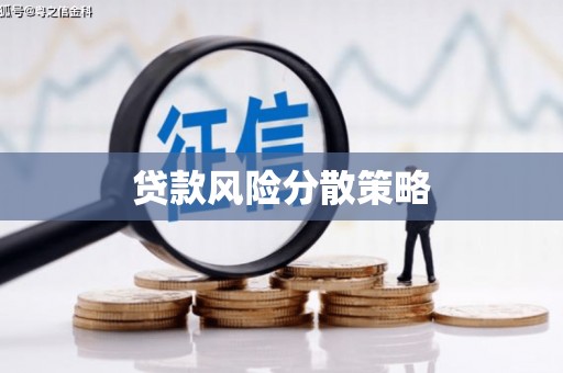 佳县贷款风险分散策略