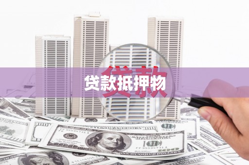 佳县贷款抵押物