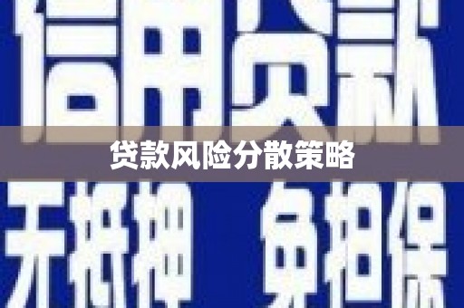 佳县贷款风险分散策略