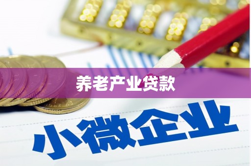 佳县养老产业贷款