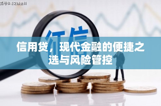 佳县信用贷，现代金融的便捷之选与风险管控