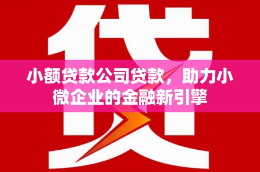 佳县小额贷款公司贷款，助力小微企业的金融新引擎