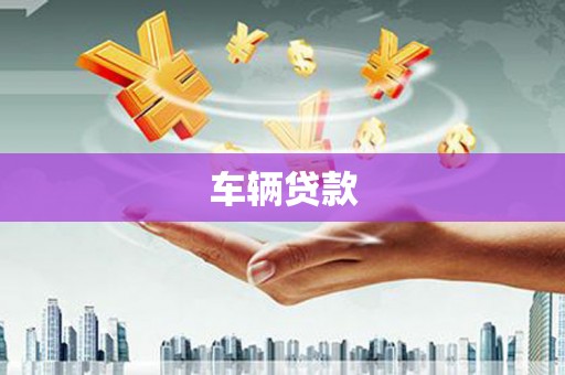 佳县车辆贷款