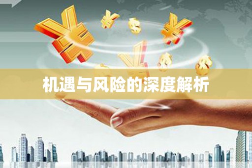 佳县机遇与风险的深度解析