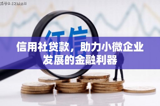 佳县信用社贷款，助力小微企业发展的金融利器