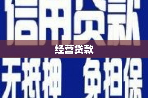 佳县经营贷款