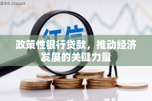 佳县政策性银行贷款，推动经济发展的关键力量
