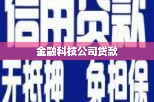 佳县金融科技公司贷款