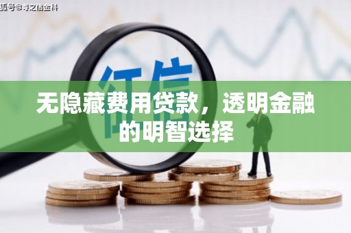 佳县无隐藏费用贷款，透明金融的明智选择