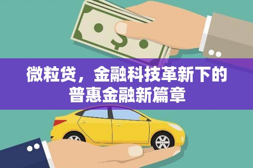 佳县微粒贷，金融科技革新下的普惠金融新篇章