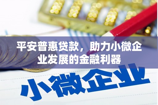 佳县平安普惠贷款，助力小微企业发展的金融利器