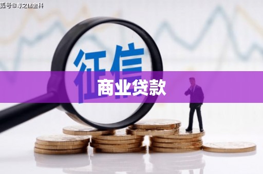 佳县商业贷款