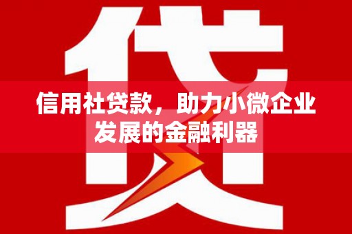 佳县信用社贷款，助力小微企业发展的金融利器