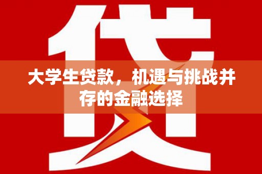 佳县大学生贷款，机遇与挑战并存的金融选择