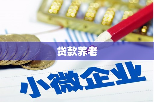 佳县贷款养老