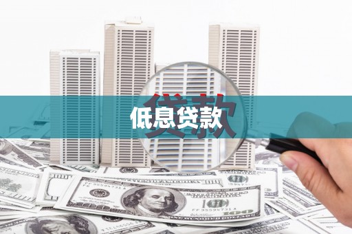 佳县低息贷款