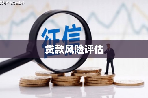 佳县贷款风险评估